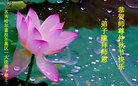 ֹ,󷨵ӹףʦ(19)