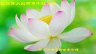 ֹ,󷨵ӹףʦ(19)