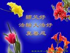 ֹ,ػʵ󷨵ӹףʦ(20)