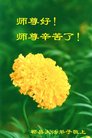 ֹ,ɶ󷨵ӹףʦ(16)