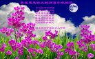 ֹ,ľ˹󷨵ӹףʦ(21)