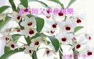 ֹ,Ϋ󷨵ӹףʦ(23)