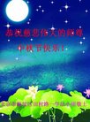 ֹ,󷨵ӹףʦ(22)