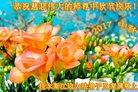 ֹ,ľ˹󷨵ӹףʦ(21)