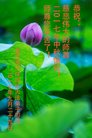 ֹ,󷨵ӹףʦ(26)