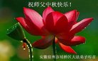 ֹ,մ󷨵ӹףʦ(21)