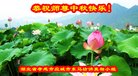 ֹ,󷨵ӹףʦ(21)