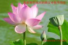 ֹ,󷨵ӹףʦ(20)