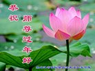 ֹ,󷨵ӹףʦ(20)