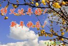 ֹ,󷨵ӹףʦ(20)