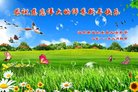 ֹ,մ󷨵ӹףʦ(19)