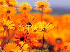 ֹ,󷨵ӹףʦ(20)