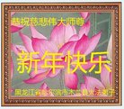 法轮功,哈尔滨大法弟子恭祝师尊新年好(20条)