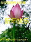 ֹ,󷨵ӹףʦ(20)