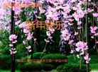ֹ,󷨵ӹףʦ(20)
