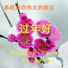 法轮功,河北大法弟子恭祝师尊新年好(35条)