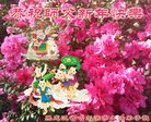 ֹ,󷨵ӹףʦ(19)