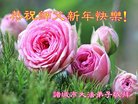 ֹ,Ϋ󷨵ӹףʦ(27)