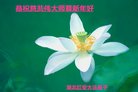 ֹ,󷨵ӹףʦ(20)