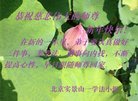 ֹ,󷨵ӹףʦ(21)
