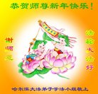 法轮功,哈尔滨大法弟子恭祝师尊新年好(20条)