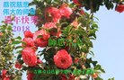ֹ,д󷨵ӹףʦ(21)
