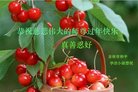 ֹ,д󷨵ӹףʦ(21)