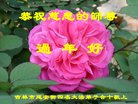 ֹ,д󷨵ӹףʦ(23)