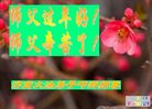 ֹ,ϴ󷨵ӹףʦ(24)