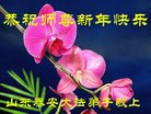 法轮功,山东大法弟子恭祝师尊过年好(27条)