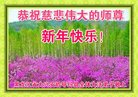 ֹ,󷨵ӹףʦ(19)