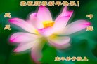 ֹ,ϴ󷨵ӹףʦ(19)