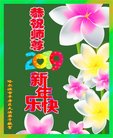 ֹ,󷨵ӹףʦ(20)