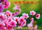 ֹ,ʡ󷨵ӹףʦ(21)