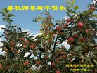 ֹ,󷨵ӹףʦ(19)