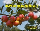 ֹ,󷨵ӹףʦ(19)