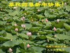 ֹ,󷨵ӹףʦ(19)