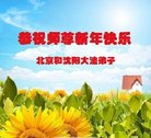 ֹ,󷨵ӹףʦ(21)