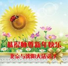 法轮功,北京大法弟子恭祝师尊新年好(21条)