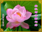 ֹ,󷨵ӹףʦ(20)