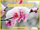 ֹ,󷨵ӹףʦ(20)
