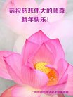 ֹ,ݴ󷨵ӹףʦ(20)