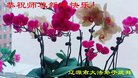 ֹ,ʡ󷨵ӹףʦ(19)