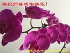 ֹ,ʡ󷨵ӹףʦ(19)