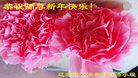 法轮功,吉林省大法弟子恭祝师尊新年好(19条)