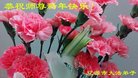 ֹ,ʡ󷨵ӹףʦ(19)