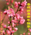 ֹ,󷨵ӹףʦ(20)