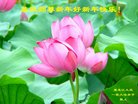 ֹ,󷨵ӹףʦ(20)
