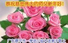 法轮功,广东大法弟子恭祝师尊新年好(21条)