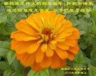 ֹ,󷨵ӹףʦ(19)